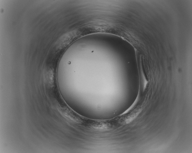 X0000065980646200603061215