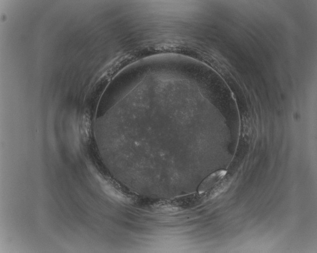 X0000065980648200603061215