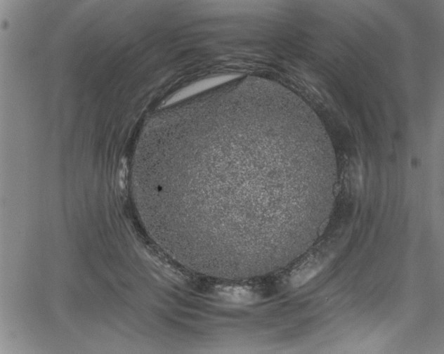 X0000065980649200603061215