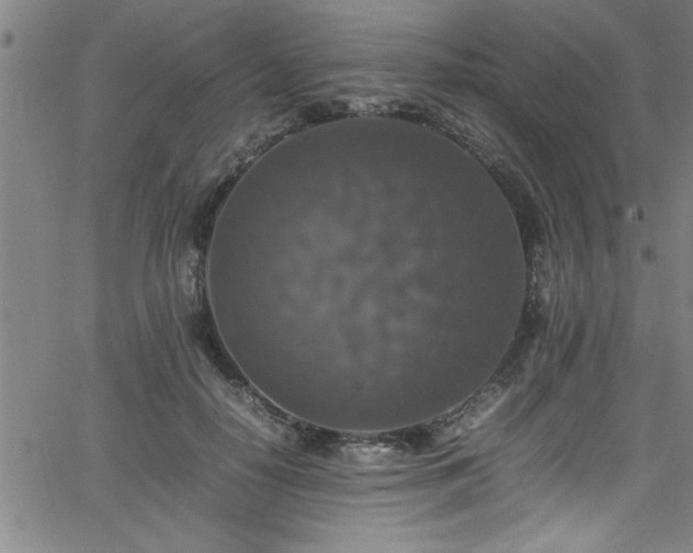 X0000065980650200603061215