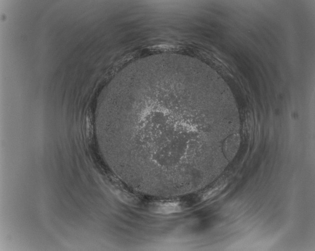 X0000065980651200603061215