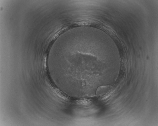 X0000065980652200603061215