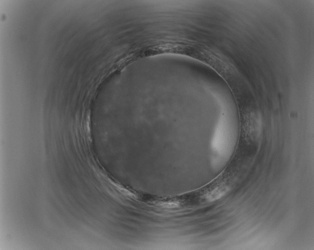 X0000065980653200603061215