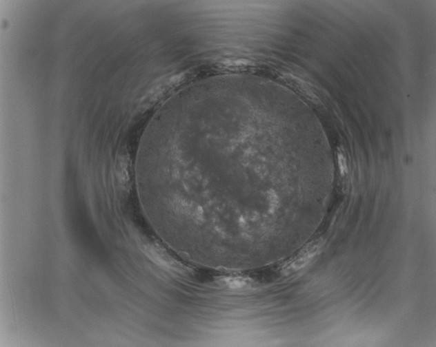 X0000065980654200603061215