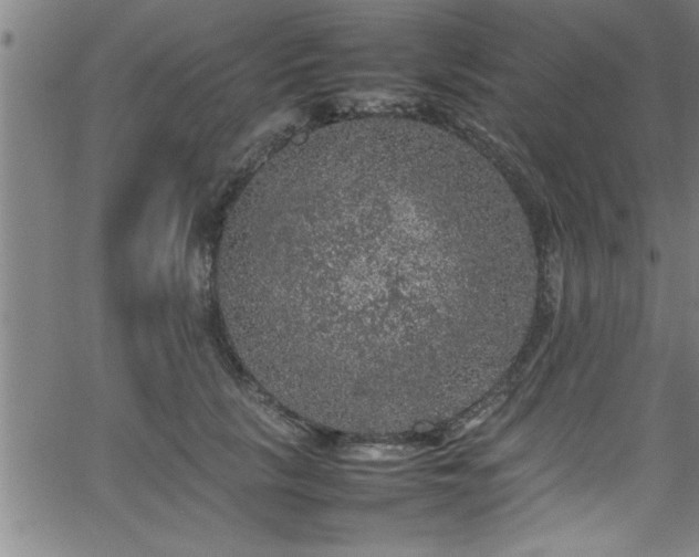 X0000065980657200603061216