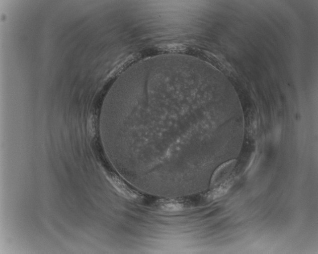 X0000065980658200603061216