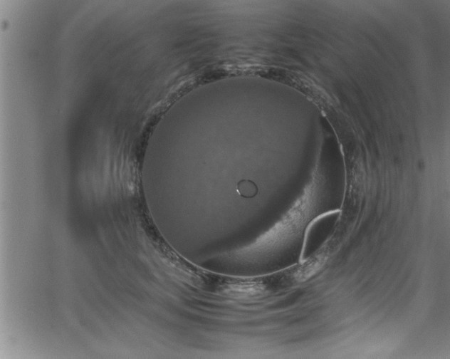 X0000065980659200603061216