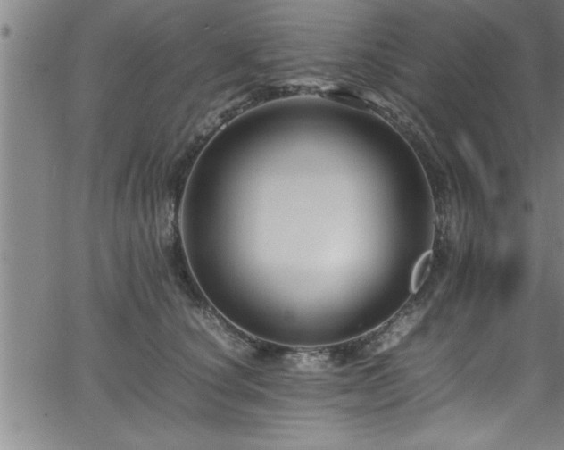 X0000065980660200603061216