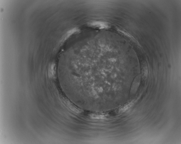 X0000065980661200603061216