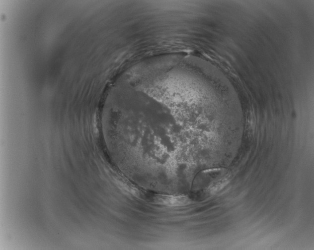 X0000065980663200603061216