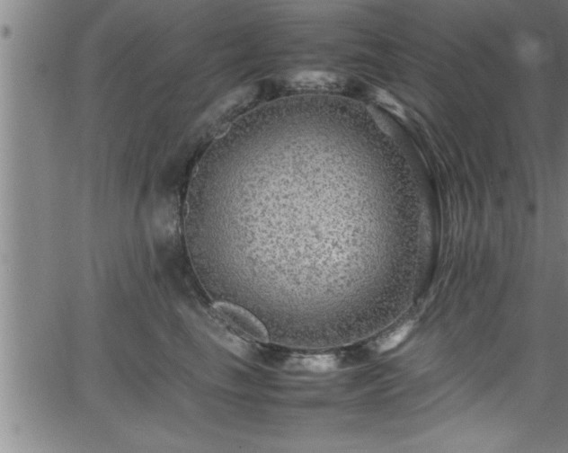 X0000065980665200603061216