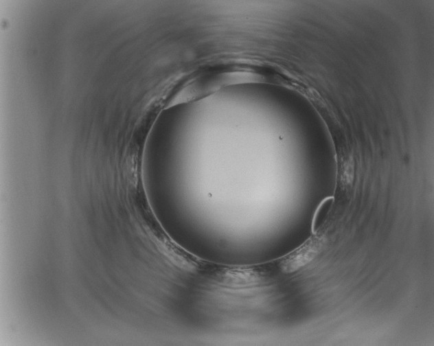 X0000065980666200603061216