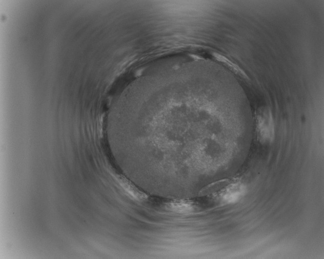 X0000065980668200603061216