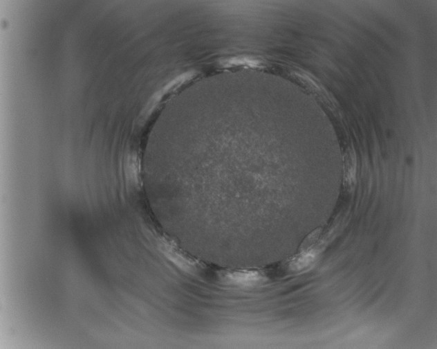 X0000065980669200603061216