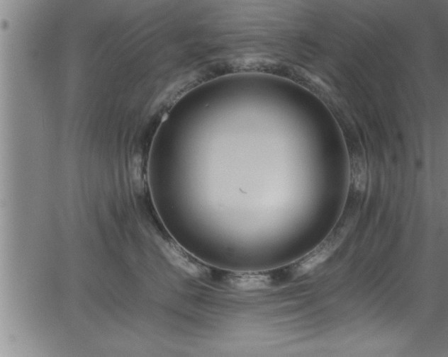 X0000065980670200603061216