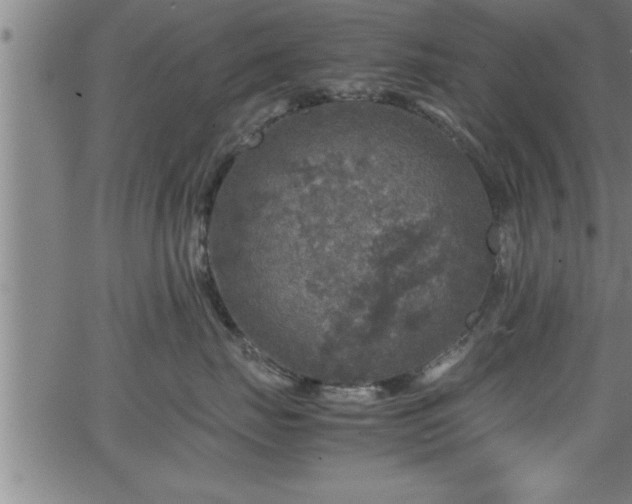 X0000065980671200603061216