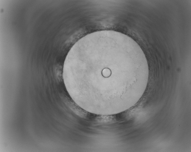 X0000065980672200603061216