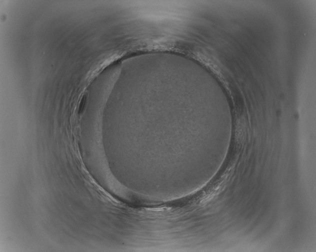 X0000065980673200603061215