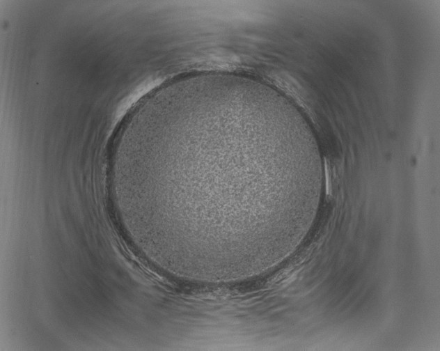 X0000065980675200603061215