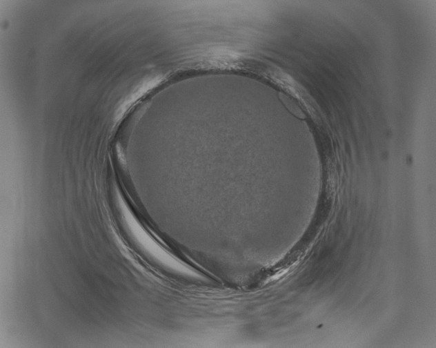 X0000065980677200603061215