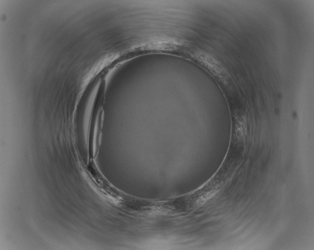 X0000065980678200603061215