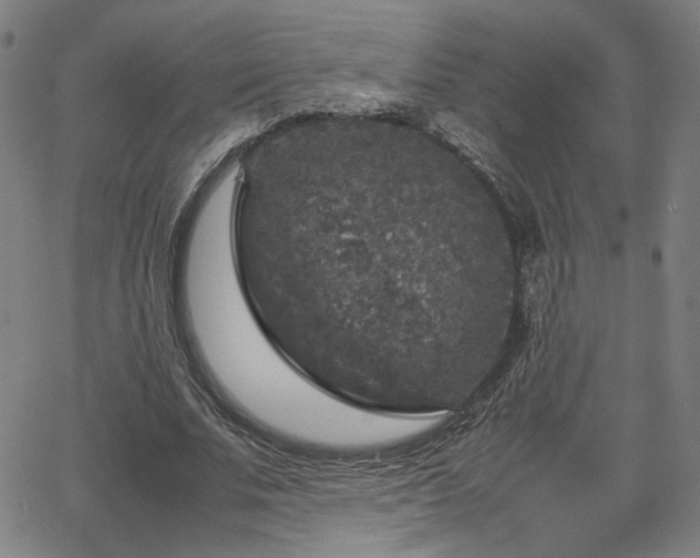 X0000065980679200603061215