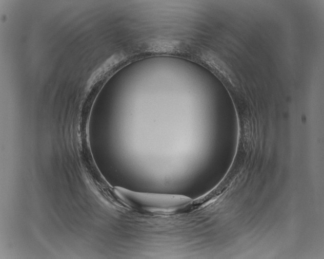 X0000065980682200603061215