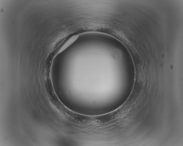 X0000065980683200603061215