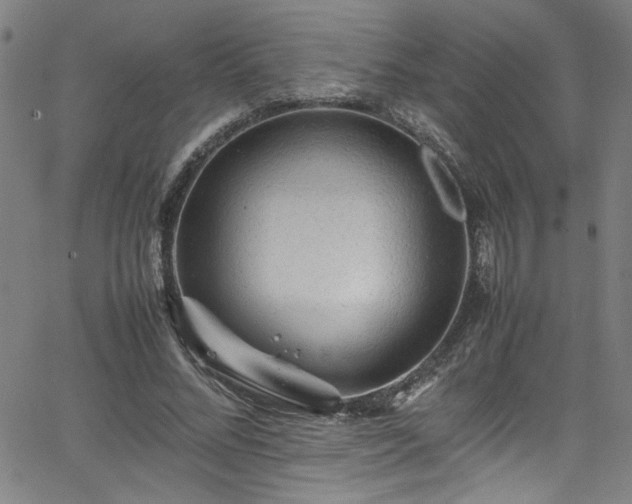 X0000065980684200603061215