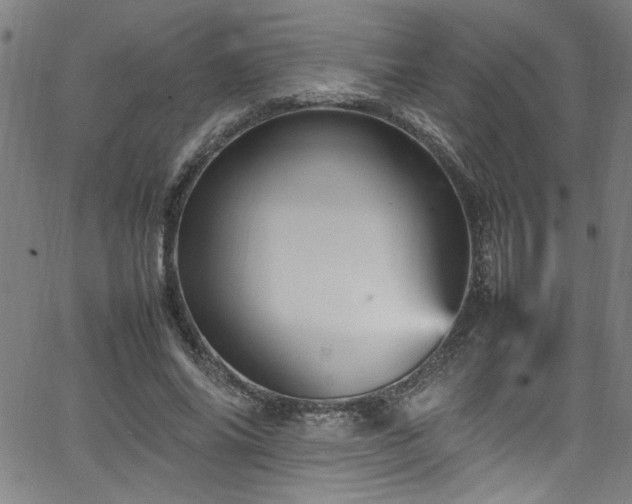 X0000065980686200603061215