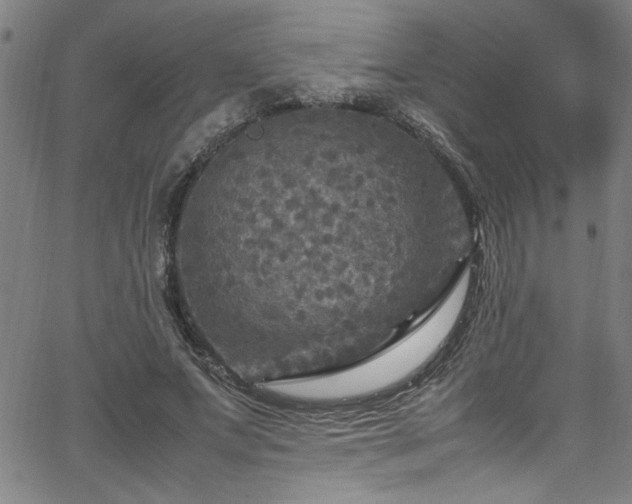 X0000065980687200603061215