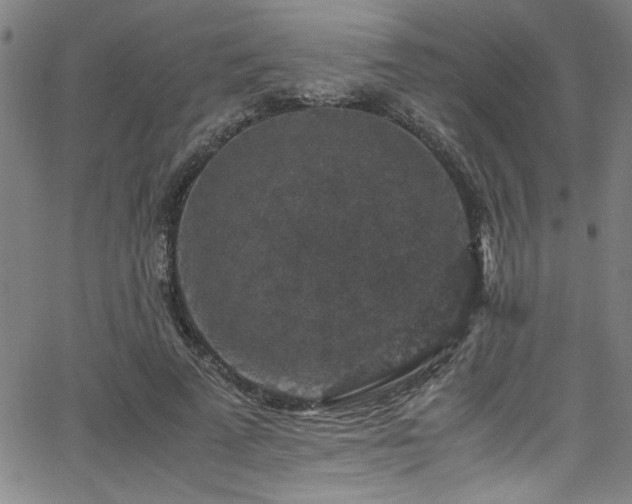 X0000065980689200603061215