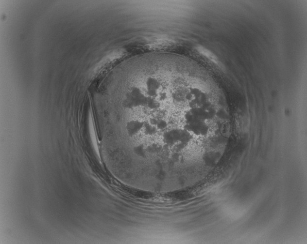 X0000065980691200603061215