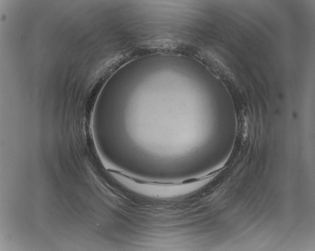 X0000065980692200603061215