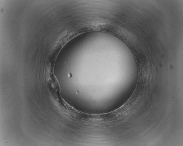 X0000065980694200603061215