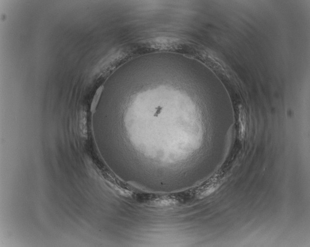 X0000065980696200603061215