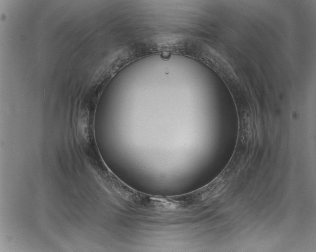 X0000065980698200603061215