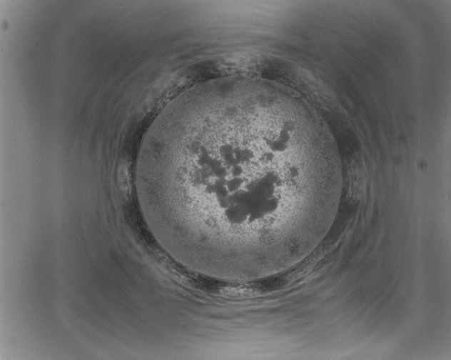 X0000065980699200603061215