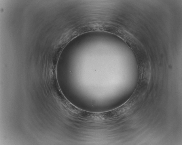 X0000065980702200603061215