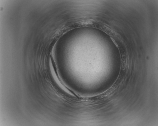 X0000065980704200603061214