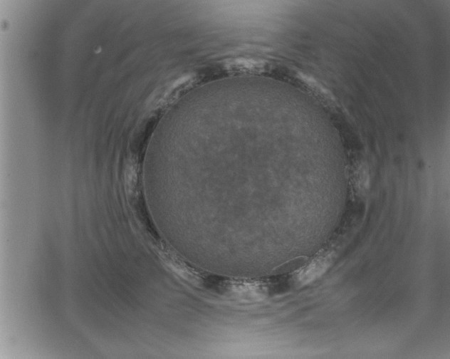 X0000065980709200603061214