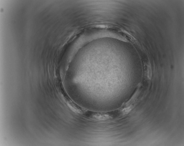 X0000065980712200603061214