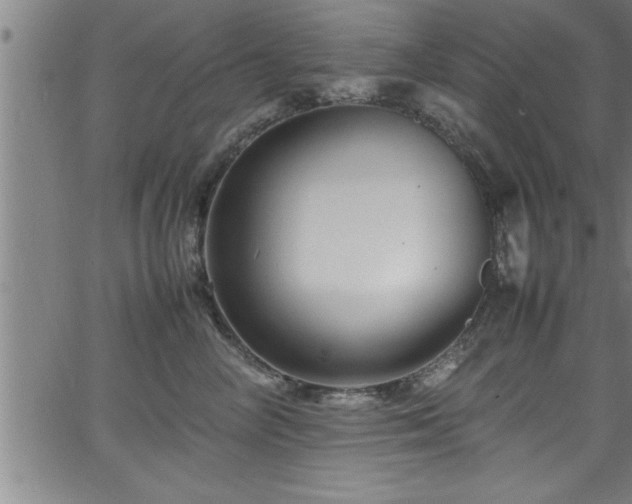 X0000065980714200603061214