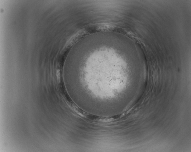 X0000065980716200603061214