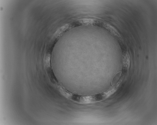 X0000065980717200603061214