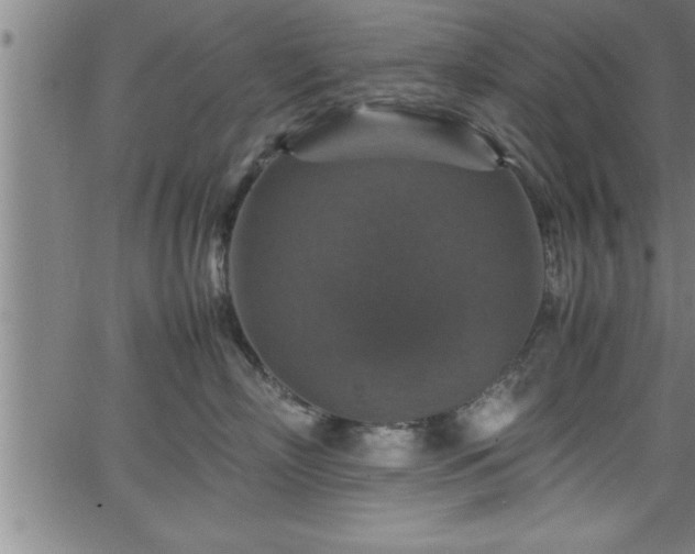 X0000065980718200603061214