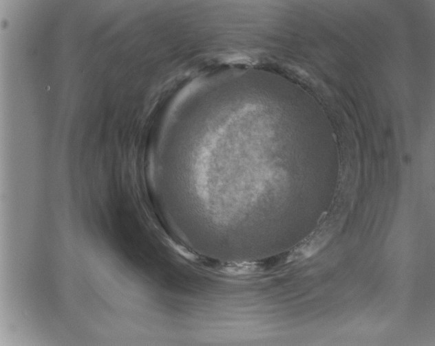 X0000065980720200603061214