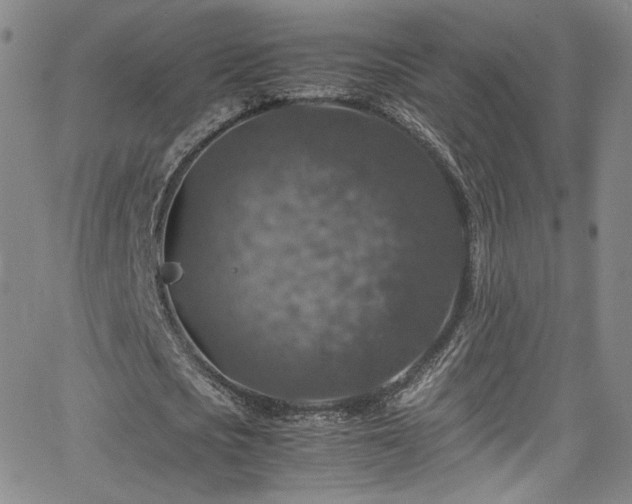 X0000065980721200603061213