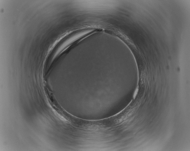 X0000065980722200603061213