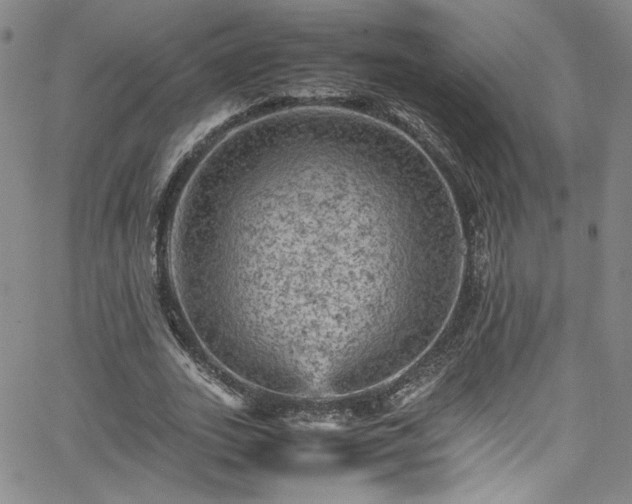 X0000065980727200603061214